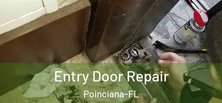 Entry Door Repair Poinciana-FL